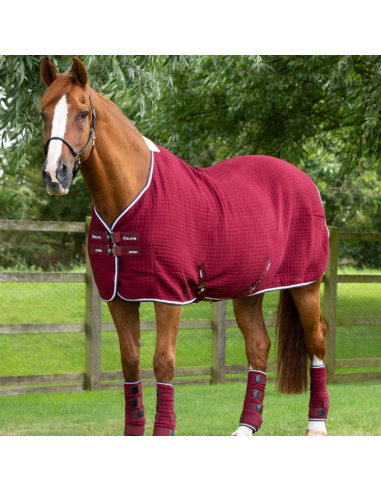 Couverture Séchante Premier Equine Premtex Bordeaux