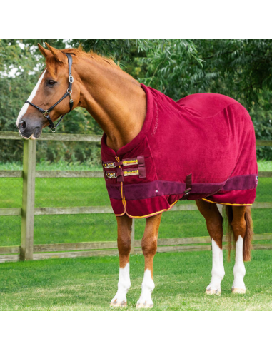 Couverture Séchante Premier Equine Buster Continental Edition Bordeaux