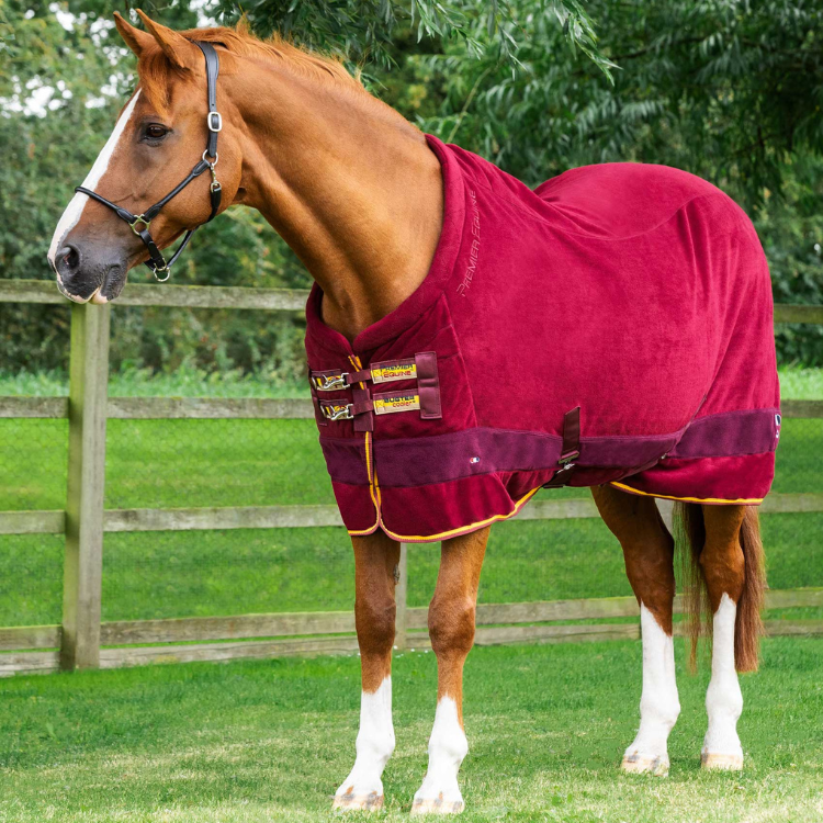 Couverture Séchante Premier Equine Buster Continental Edition Bordeaux