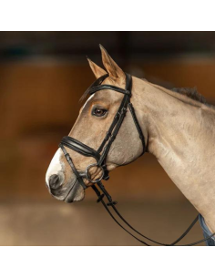 HFI Pull-Back Edges Bridle Black