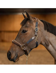 Licol HFI Mixed Cuir & Nylon Brun