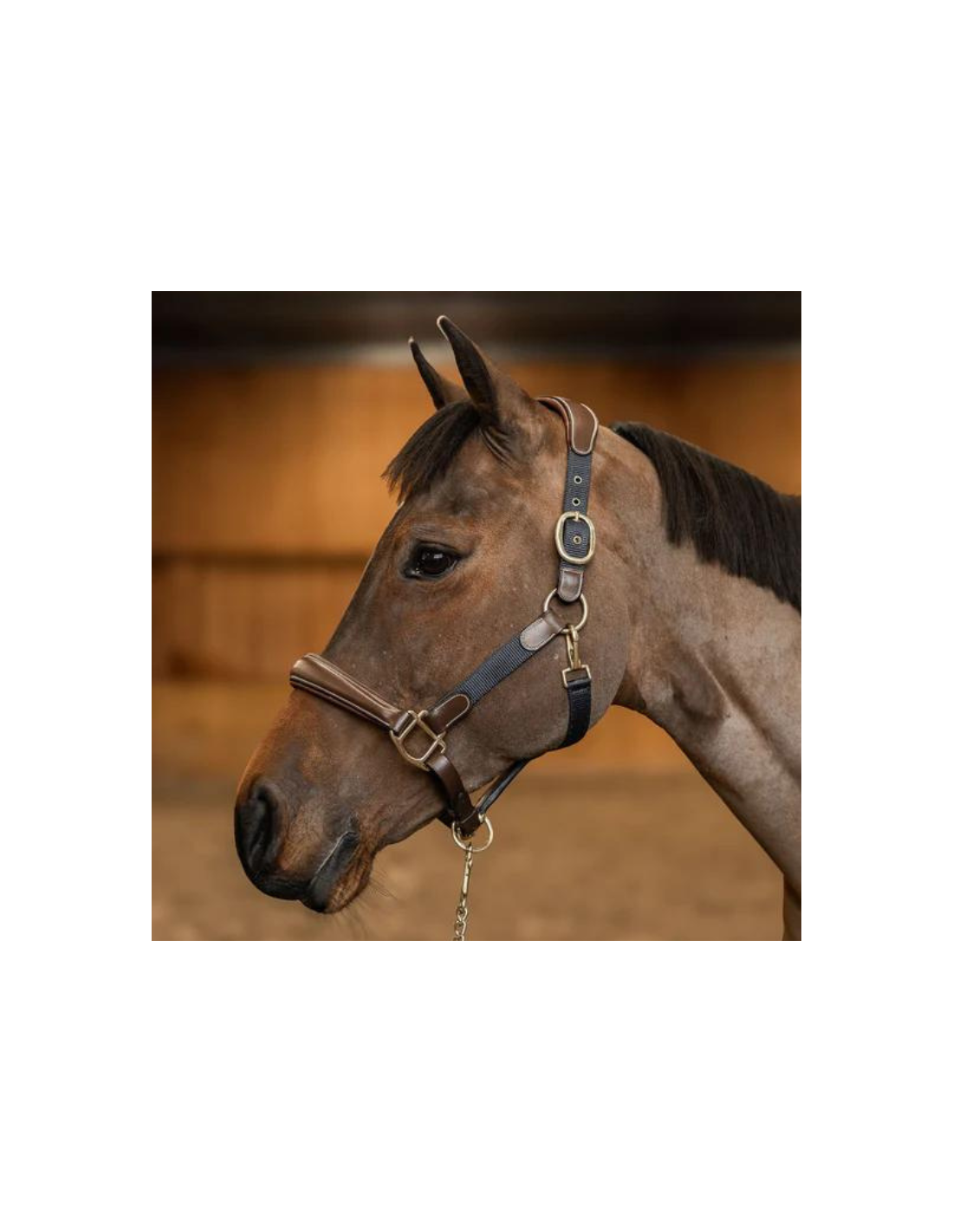 Licols et longes pour chevaux | Équipement équitation