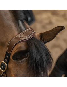 Licol HFI Mixed Cuir & Nylon Brun 2