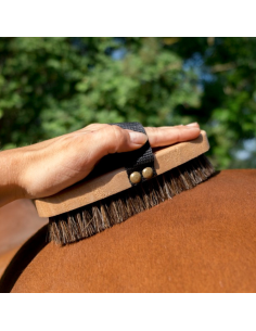 Brosse Extra-Douce Hippotonic 2