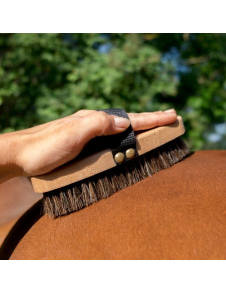 Brosse Extra-Douce Hippotonic