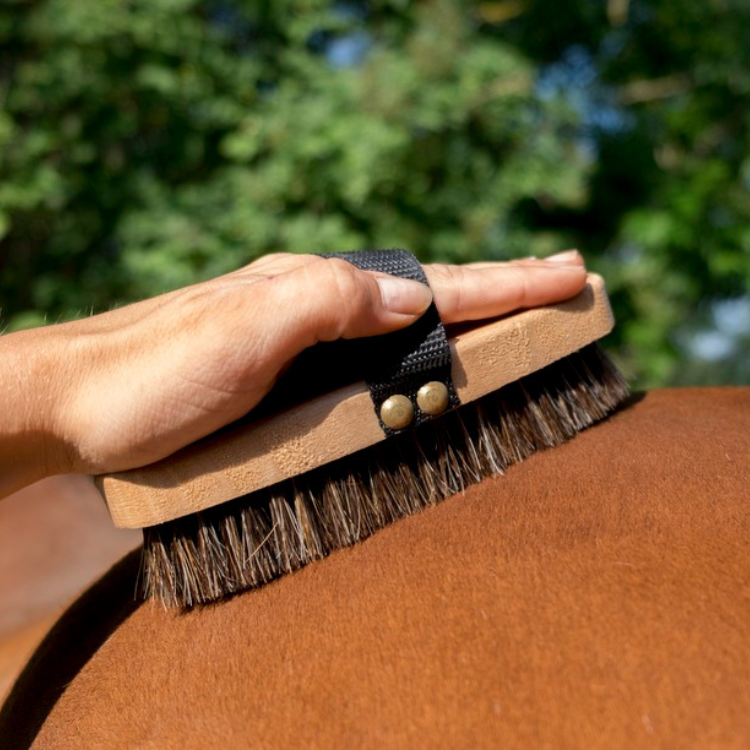 Brosse Extra-Douce Hippotonic