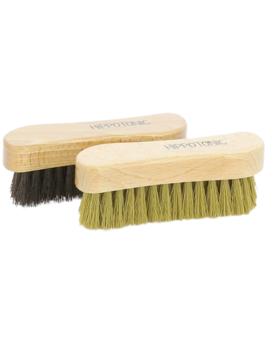 Brosse De Tête Hippotonic