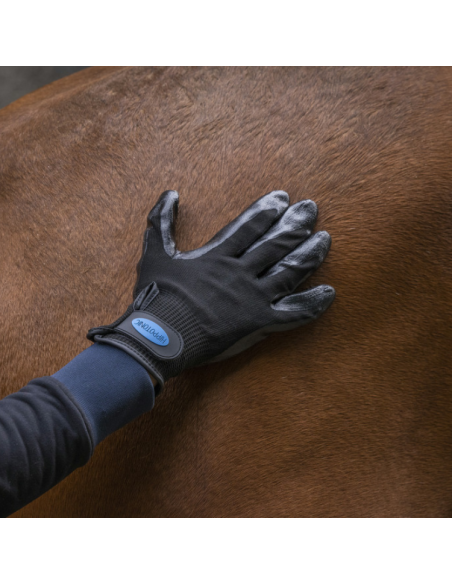 Gant De Pansage Anti-Mue Hippotonic Noir