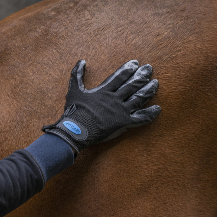 Gant De Pansage Anti-Mue Hippotonic Noir