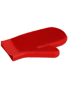 Gant Étrille Double Face Hippotonic 2