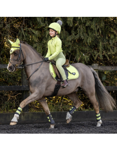 Tapis de Selle CSO LeMieux Square Junior Loire Kiwi 2