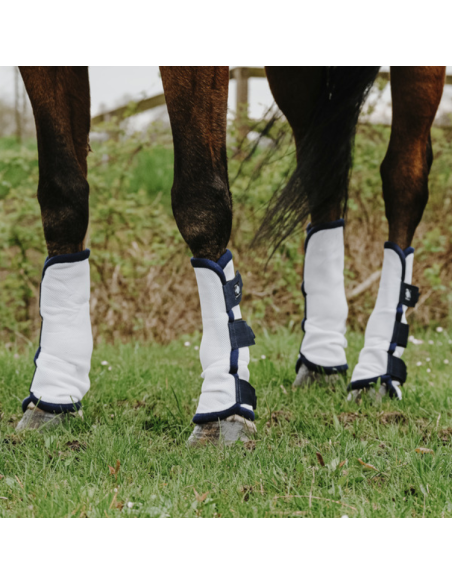 Guêtres Anti-Mouches Riding World