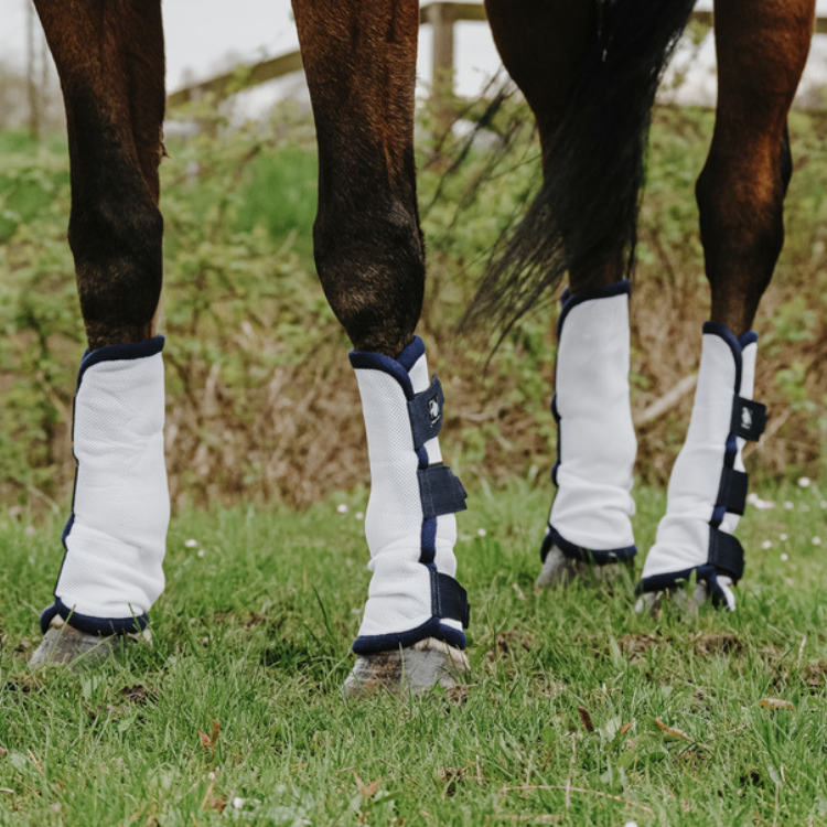 Guêtres Anti-Mouches Riding World