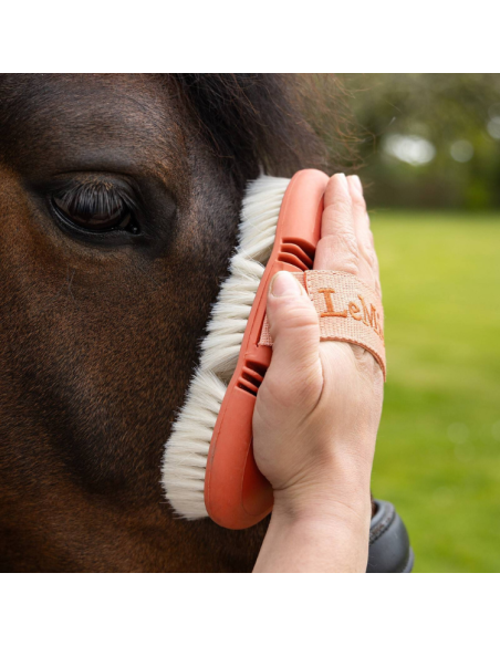 Brosse LeMieux Flexi Goats Hair Body Abricot