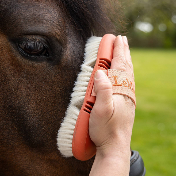 Brosse LeMieux Flexi Goats Hair Body Abricot