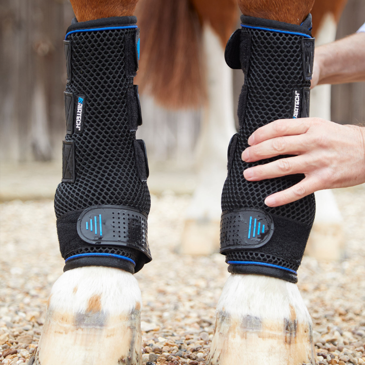 Guêtres De Compression Premier Equine Cold Water