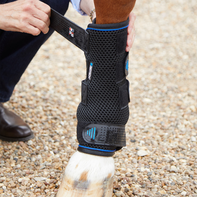 Guêtres De Compression Premier Equine Cold Water