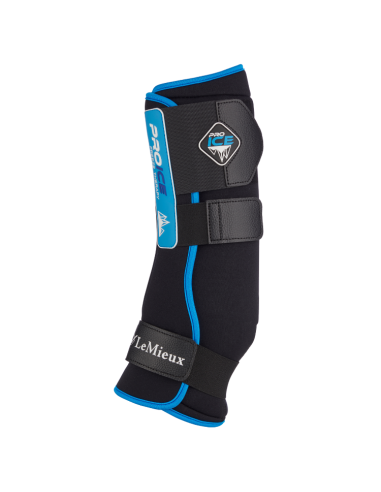 LeMieux ProIce Freeze Boots