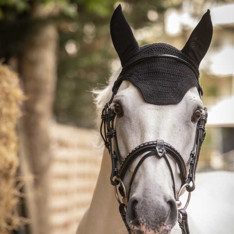 Bonnet Paddock Pro Coton Noir