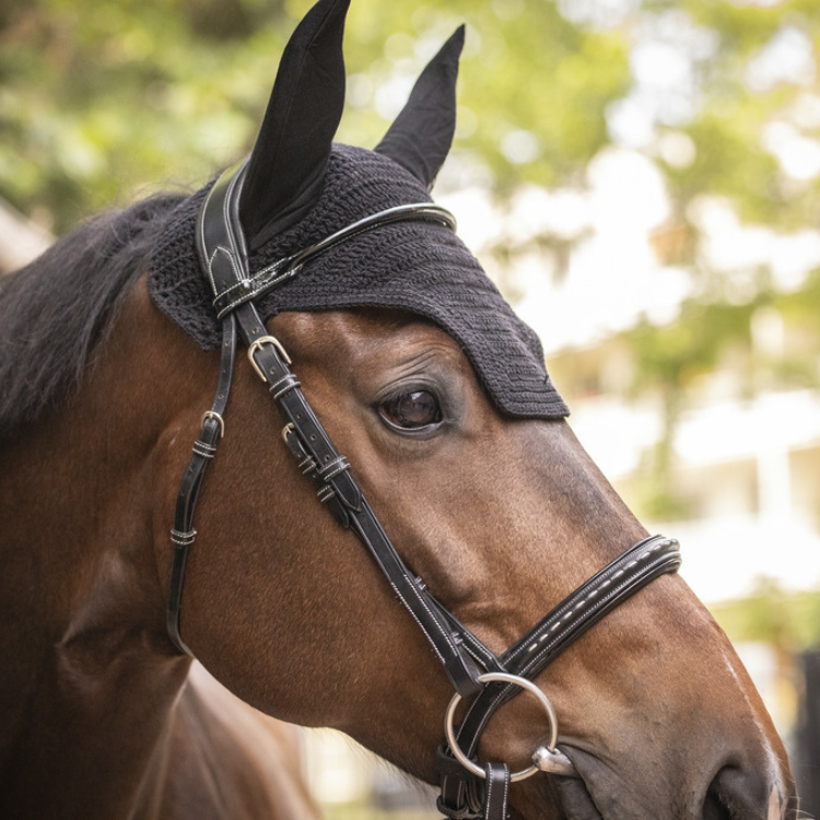 Bonnet Paddock Pro Coton Noir
