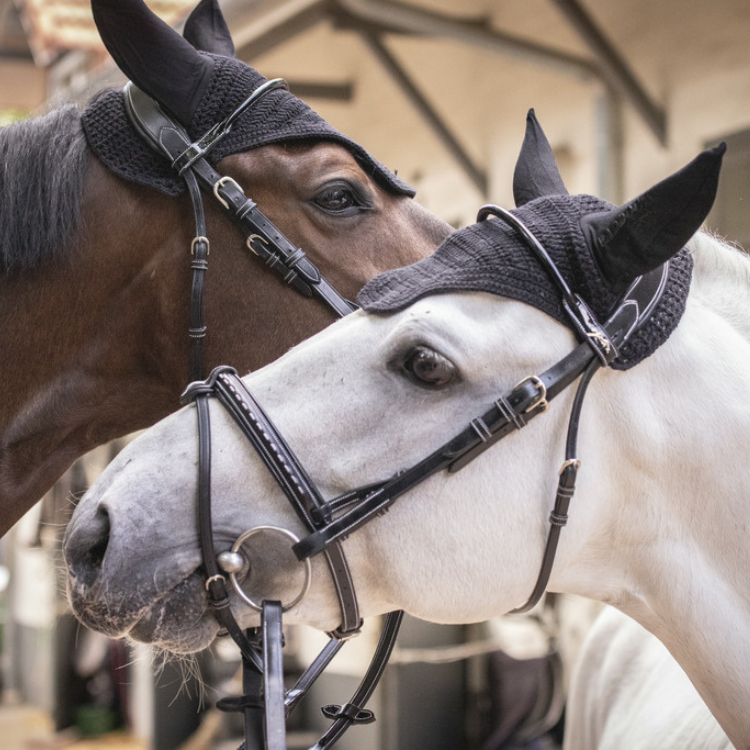Bonnet Paddock Pro Coton Noir
