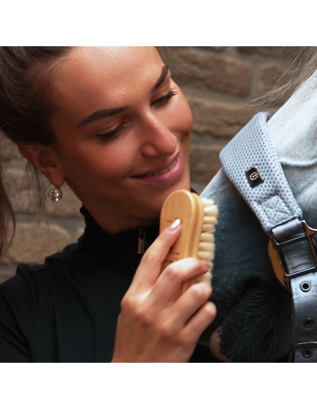 Brosse De Tête Imperial Riding Natural