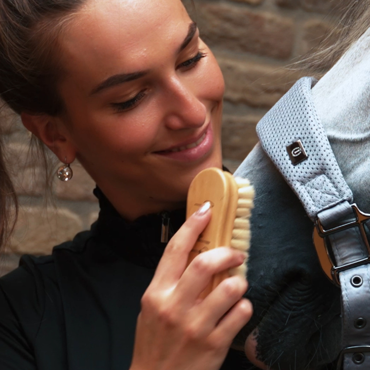 Brosse De Tête Imperial Riding Natural