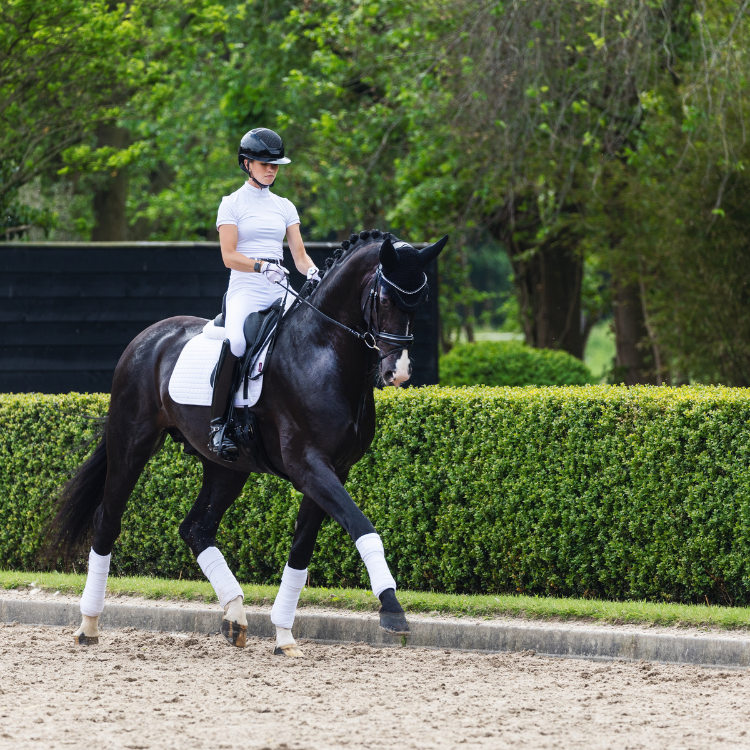 Tapis de Selle LeMieux Square Dressage en Suédine Blanc