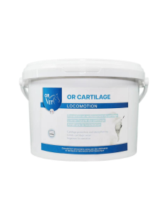 Complément OR-VET Or Cartilage 2
