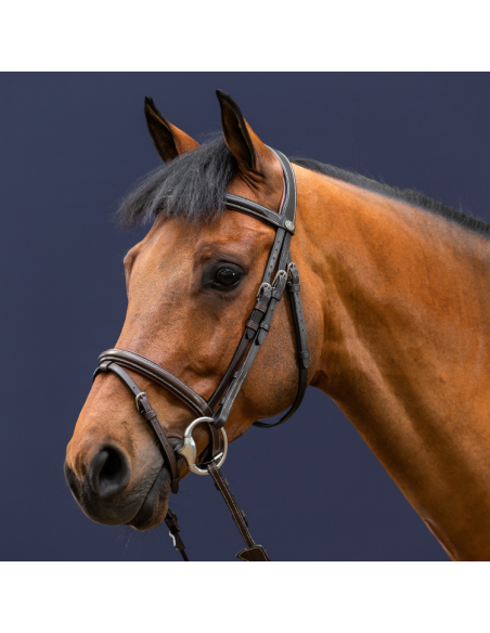 Bridon Dy'On Muserolle Combinée Working MARRON