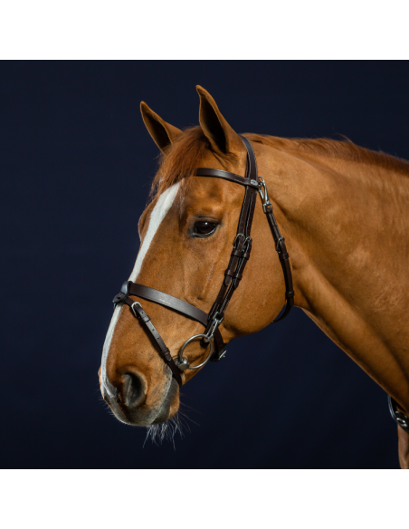 Bridon Dy'on Cuir Plat à Mousquetons Working MARRON