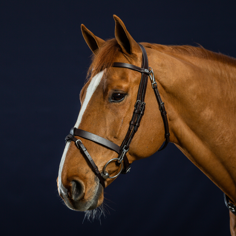 Bridon Dy'on Cuir Plat à Mousquetons Working MARRON