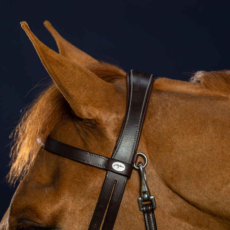 Bridon Dy'on Cuir Plat à Mousquetons Working MARRON
