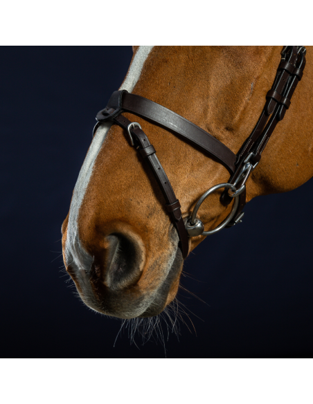 Bridon Dy'on Cuir Plat à Mousquetons Working MARRON