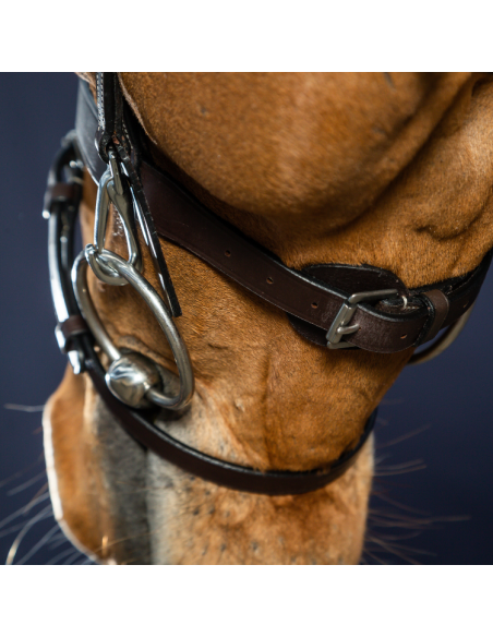 Bridon Dy'on Cuir Plat à Mousquetons Working MARRON