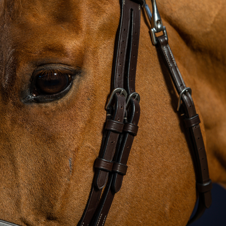 Bridon Dy'on Cuir Plat à Mousquetons Working MARRON
