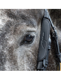 Dy'On Focus on Working 2