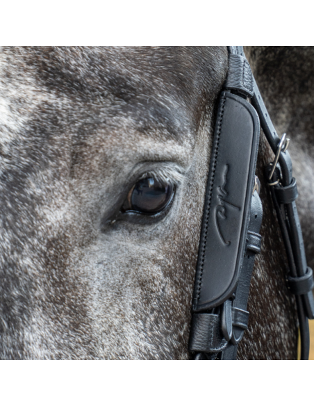 Montants Focus Dy'On Working NOIR