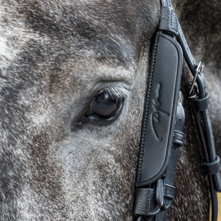 Montants Focus Dy'On Working NOIR