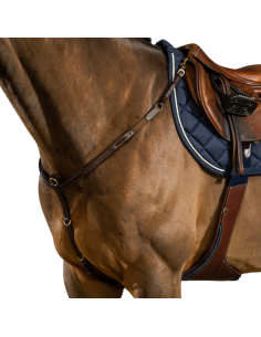 Collier De Chasse Dy'on D Collection Brun