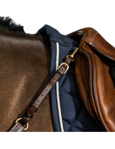 Collier De Chasse Dy'on D Collection Brun 2