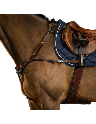 Collier De Chasse Dy'on Anatomique D Collection Brun