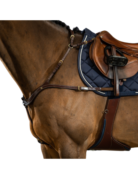 Collier De Chasse Dy'on Anatomique D Collection Brun