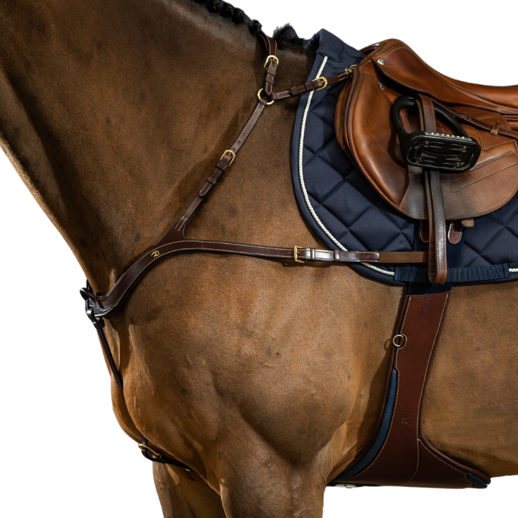 Collier De Chasse Dy'on Anatomique D Collection Brun