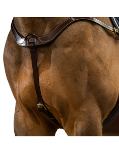 Collier De Chasse Dy'on Anatomique D Collection Brun 2