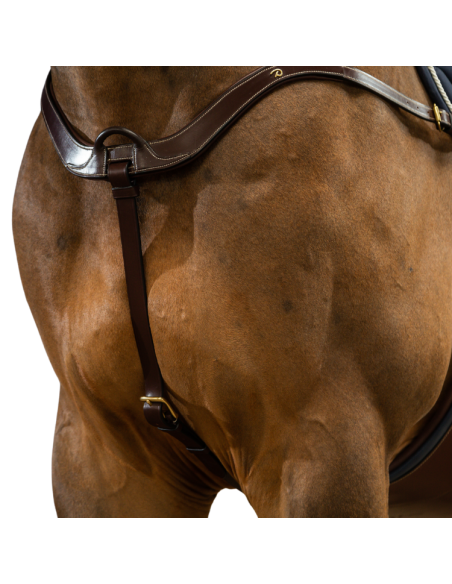 Collier De Chasse Dy'on Anatomique D Collection Brun