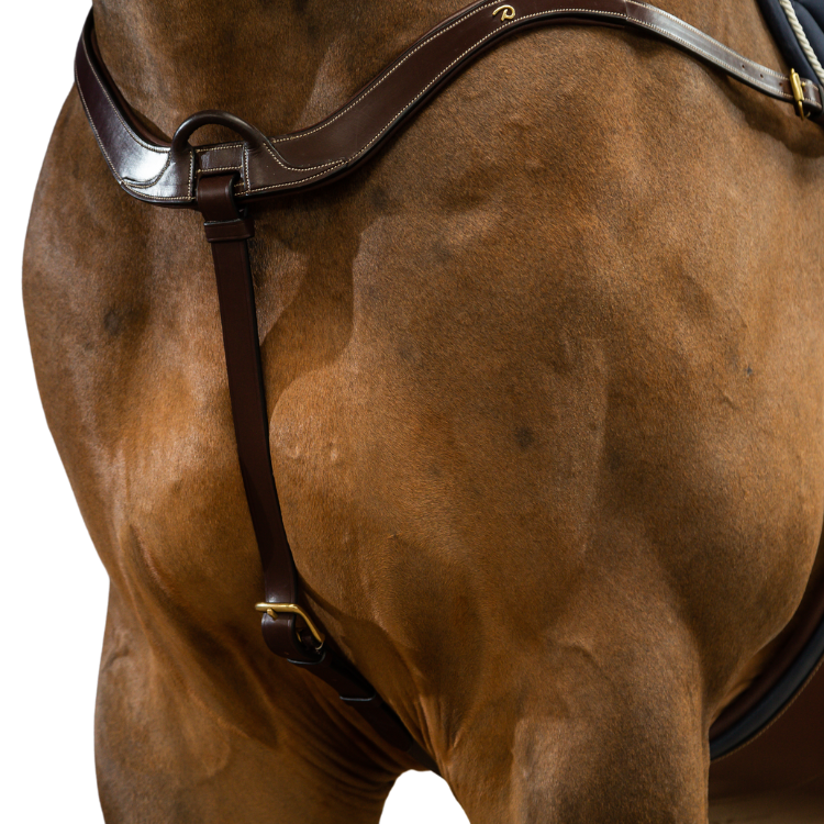 Collier De Chasse Dy'on Anatomique D Collection Brun