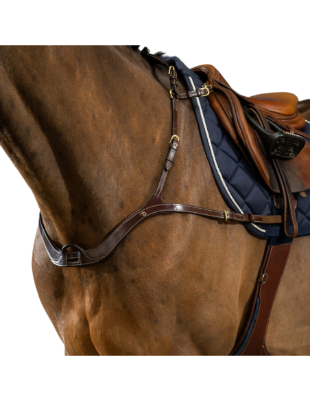 Collier De Chasse Dy'on Anatomique D Collection Brun