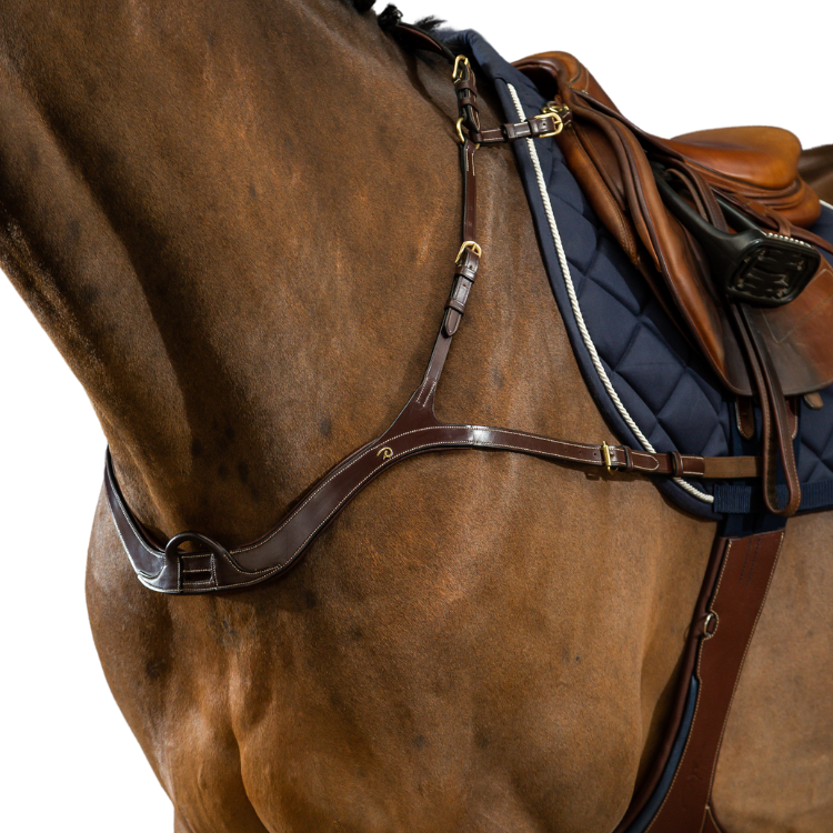 Collier De Chasse Dy'on Anatomique D Collection Brun