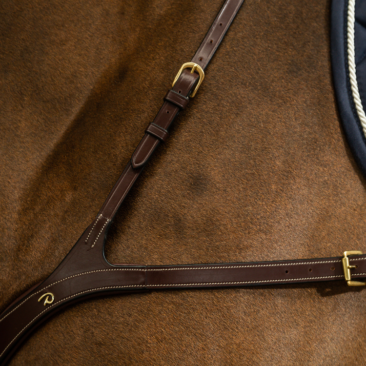 Collier De Chasse Dy'on Anatomique D Collection Brun